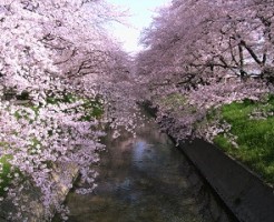 介護家族のみなさんに伝えたいこと