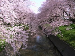 介護家族のみなさんに伝えたいこと